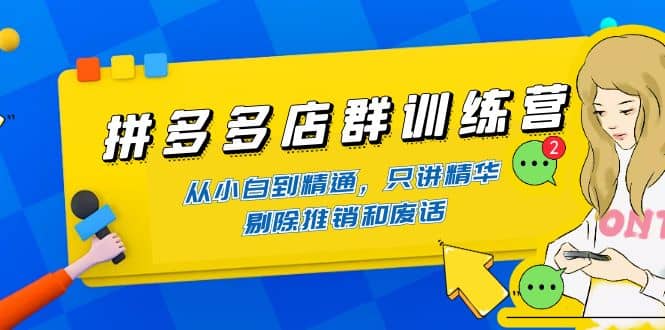 拼多多店群训练营：从小白到精通，只讲精华，剔除推销和废话-智领未来创业网