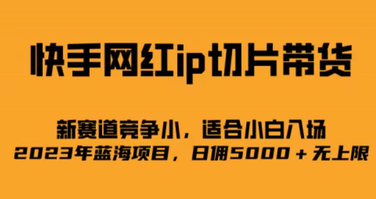 快手网红ip切片新赛道，竞争小事，适合小白 2023蓝海项目-智领未来创业网