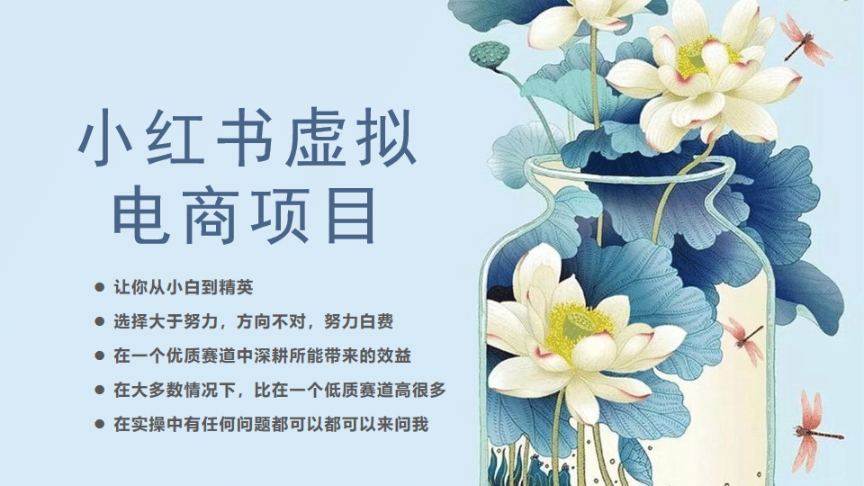小红书虚拟电商从0到1，让你从小白到精英（20节实操课程）-智领未来创业网