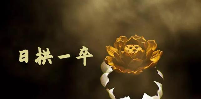 无脑搬砖，普通人可以复制的副业赚钱项目(附软件)-智领未来创业网