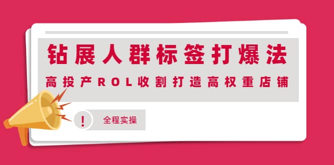 钻展人群标签打爆法，高投产ROL收割打造高权重店铺(全程实操)-智领未来创业网
