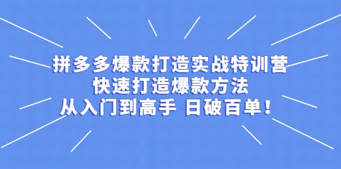 拼多多爆款打造实战特训营：快速打造爆款方法，从入门到高手 日破百单-智领未来创业网