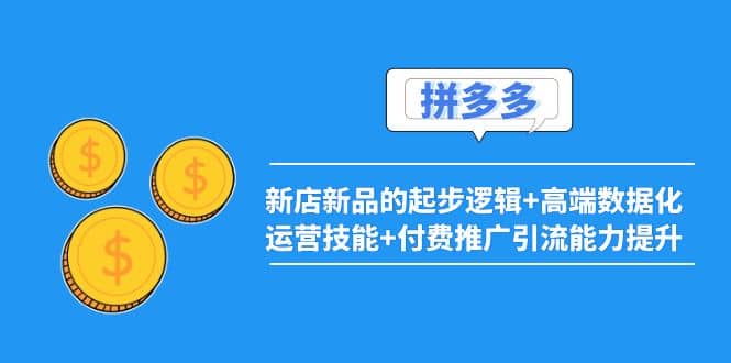 2022拼多多：新店新品的起步逻辑+高端数据化运营技能+付费推广引流能力提升-智领未来创业网