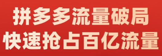 阿杰·拼多多流量破局:如何打黑标，爆款的思路，拼多多流量框架，快速抢占百亿流量-智领未来创业网