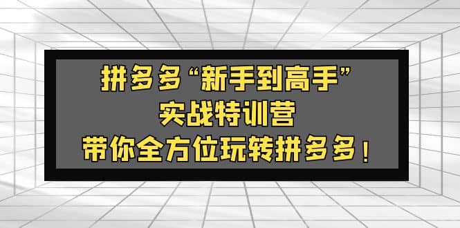 拼多多“新手到高手”实战特训营：带你全方位玩转拼多多-智领未来创业网