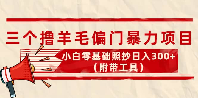 外面卖998的三个撸羊毛项目，小白零基础照抄（附带工具）-智领未来创业网