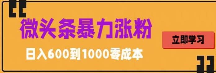 微头条暴力涨粉技巧搬运文案就能涨几万粉丝，简单0成本，日赚600-智领未来创业网