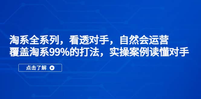 淘系全系列，看透对手，自然会运营，覆盖淘系99%·打法，实操案例读懂对手-智领未来创业网
