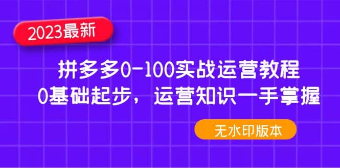 2023拼多多0-100实战运营教程，0基础起步，运营知识一手掌握（无水印）-智领未来创业网
