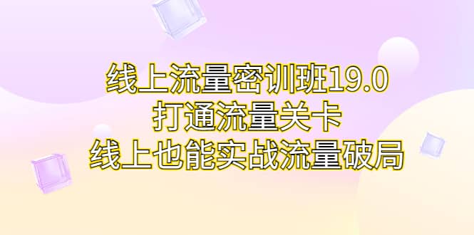 线上流量密训班19.0，打通流量关卡，线上也能实战流量破局-智领未来创业网
