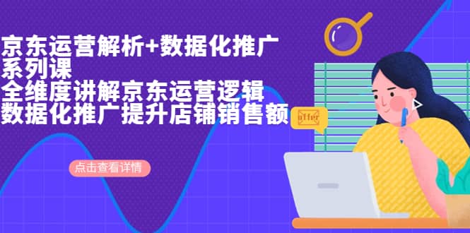 京东运营解析与数据化推广系列课，全维度讲解京东运营逻辑+数据化推广提升店铺销售额-智领未来创业网