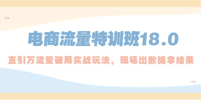 电商流量特训班18.0，直引万流量破局实操玩法，现场出数据拿结果-智领未来创业网