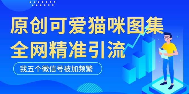 黑科技纯原创可爱猫咪图片，全网精准引流，实操5个VX号被加频繁-智领未来创业网