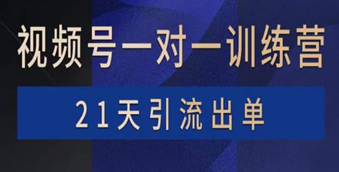 视频号训练营：带货，涨粉，直播，游戏，四大变现新方向，21天引流出单-智领未来创业网