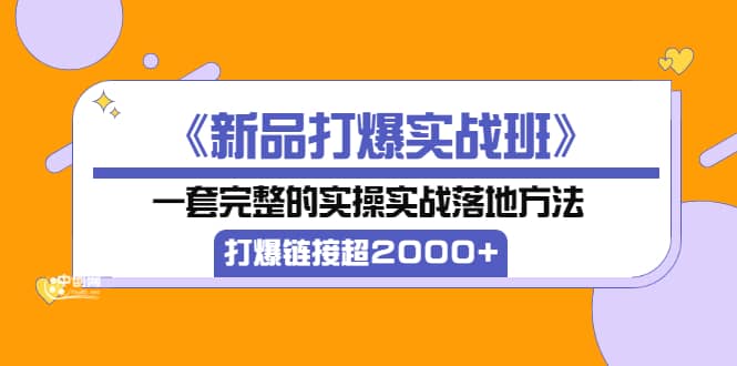《新品打爆实战班》一套完整的实操实战落地方法，打爆链接超2000+（38节课)-智领未来创业网
