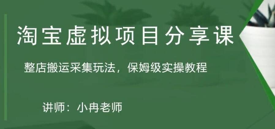 淘宝虚拟整店搬运采集玩法分享课：整店搬运采集玩法，保姆级实操教程-智领未来创业网