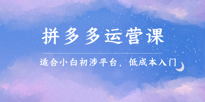 拼多多运营课，适合小白初涉平台，低成本入门-智领未来创业网