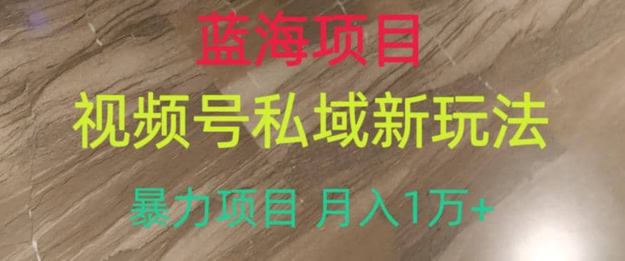 蓝海项目，视频号私域新玩法，暴力项目月入1万+【揭秘】-智领未来创业网