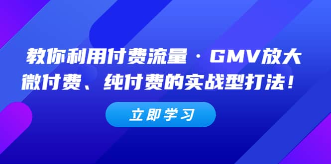 教你利用付费流量·GMV放大，微付费、纯付费的实战型打法-智领未来创业网