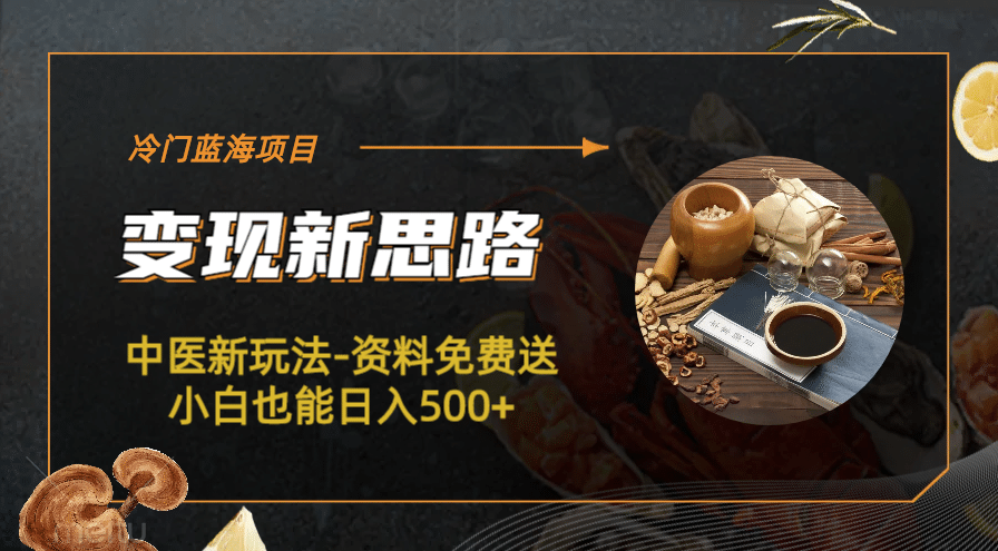 冷门蓝海项目-中医新玩法-冷门蓝海项目-中医新玩法-资料免费送小白也能日入500+500+-智领未来创业网
