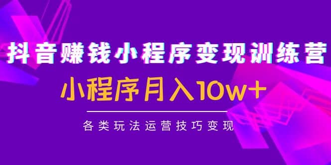 抖音小程序变现训练营：小程序各类玩法运营技巧变现-智领未来创业网