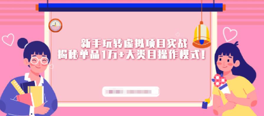新手玩转虚拟项目实战，揭秘单品1万+大类目操作模式【视频课程】-智领未来创业网