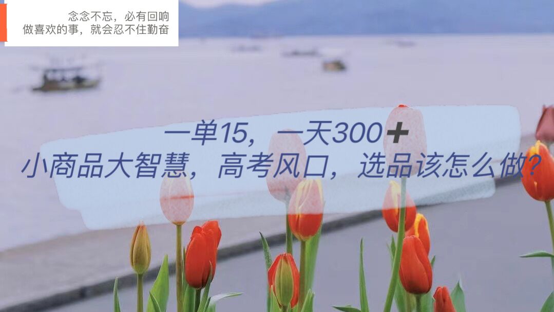 一单15，一天300+，小商品大智慧，高考风口，选品该怎么布局-智领未来创业网