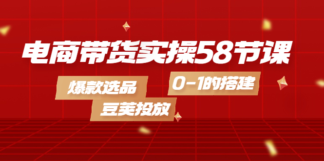 电商带货实操58节课，爆款选品，豆荚投放，0-1的搭建-智领未来创业网