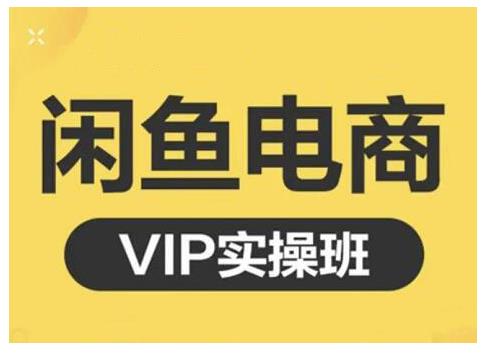 闲鱼电商零基础入门到进阶VIP实战课程，帮助你掌握闲鱼电商所需的各项技能-智领未来创业网