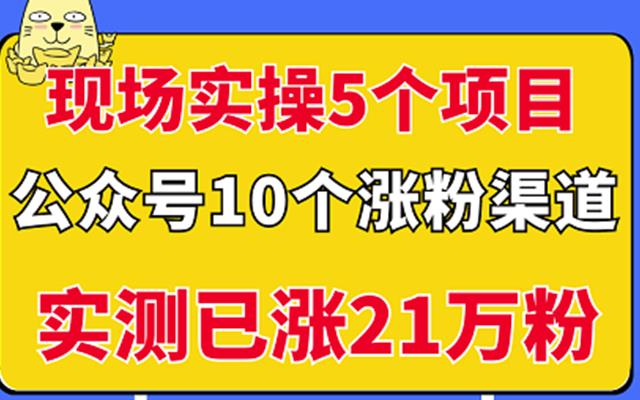 现场实操5个公众号项目，10个涨粉渠道，实测已涨21万粉！-智领未来创业网