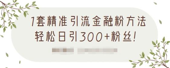 1套精准引流金融粉方法，轻松日引300+粉丝【视频课程】-智领未来创业网