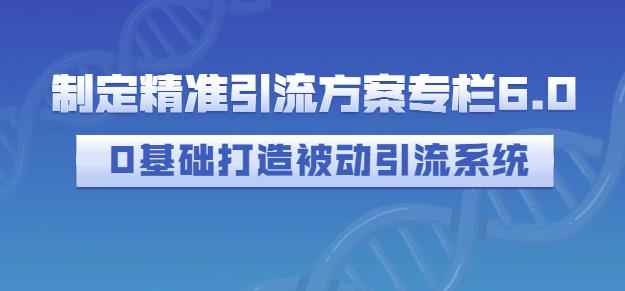 制定精准引流方案专栏6.0，0基础打造被动引流系统-智领未来创业网