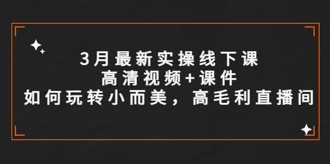3月最新实操线下课高清视频+课件，如何玩转小而美，高毛利直播间-智领未来创业网