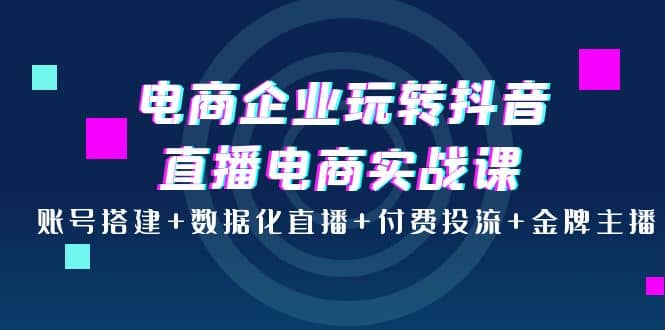 电商企业玩转抖音直播电商实战课：账号搭建+数据化直播+付费投流+金牌主播-智领未来创业网