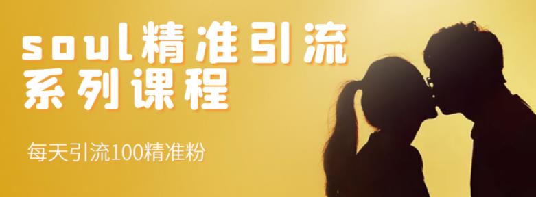 soul精准引流系列课程，每天引流100精准粉-智领未来创业网