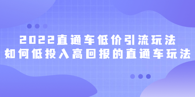 2022直通车低价引流玩法，教大家如何低投入高回报的直通车玩法-智领未来创业网
