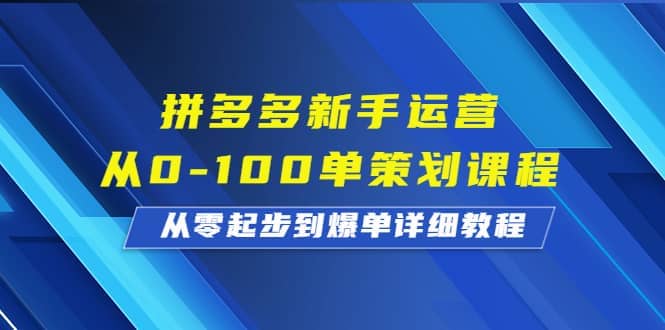 拼多多新手运营从0-100单策划课程，从零起步到爆单详细教程-智领未来创业网