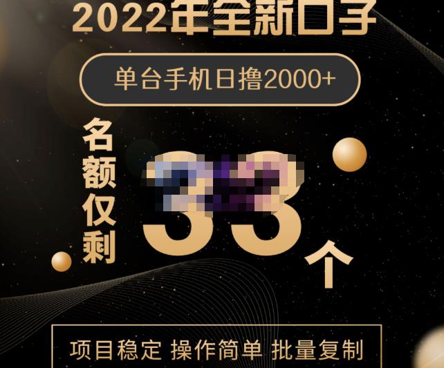 2022年全新口子，手机批量搬砖玩法，一部手机日撸2000+-智领未来创业网