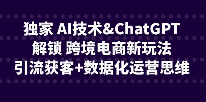 独家 AI技术ChatGPT解锁 跨境电商新玩法，引流获客+数据化运营思维-智领未来创业网