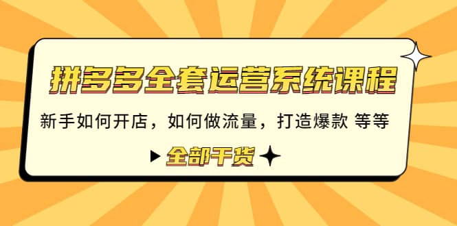 拼多多全套运营系统课程：新手如何开店 如何做流量 打造爆款 等等 全部干货-智领未来创业网