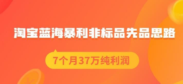 盗坤淘宝蓝海暴利非标品先品思路，7个月37万纯利润，压箱干货分享！【付费文章】-智领未来创业网