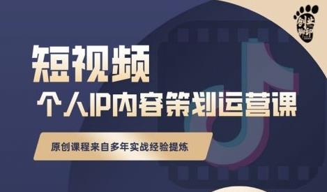 抖音短视频个人ip内容策划实操课，真正做到普通人也能实行落地-智领未来创业网