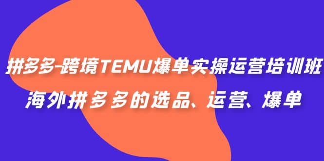 拼多多-跨境TEMU爆单实操运营培训班，海外拼多多的选品、运营、爆单-智领未来创业网