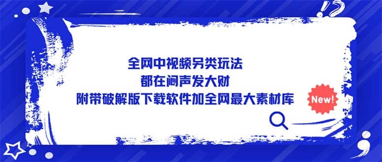 全网中视频另类玩法，都在闷声发大财，附带下载软件加全网最大素材库-智领未来创业网