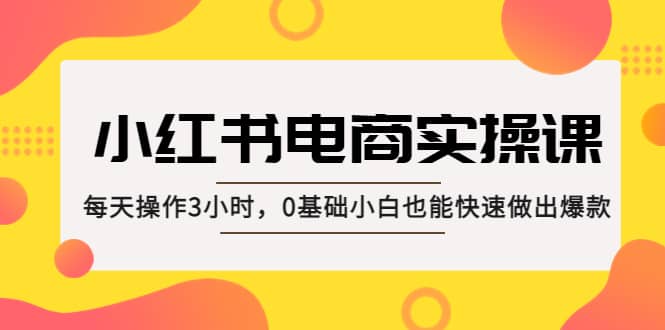 小红书·电商实操课：每天操作3小时，0基础小白也能快速做出爆款-智领未来创业网