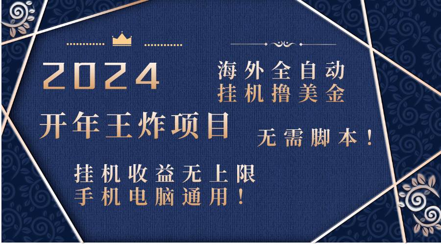 2024海外全自动挂机撸美金项目！手机电脑均可，无需脚本，收益无上限！-智领未来创业网