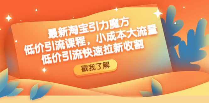 最新淘宝引力魔方低价引流实操：小成本大流量-智领未来创业网