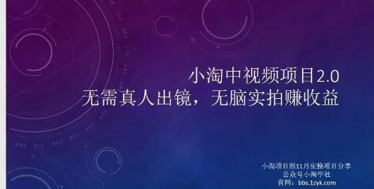 小淘项目组网赚永久会员，绝对是具有实操价值的，适合有项目做需要流程【持续更新】-智领未来创业网