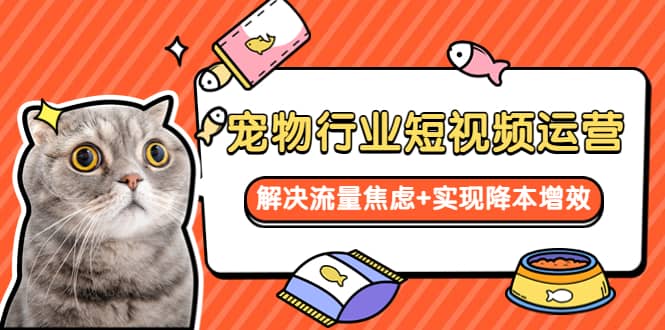 宠物/行业短视频运营 流量增长的一层窗户纸 解决流量焦虑+实现降本增效-智领未来创业网
