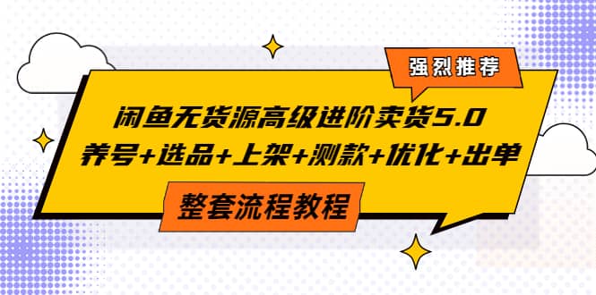 闲鱼无货源高级进阶卖货5.0，养号+选品+上架+测款+优化+出单整套流程教程-智领未来创业网